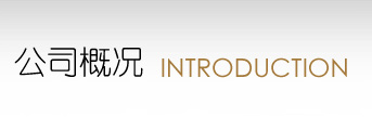公司概况