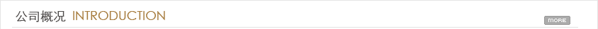 公司概况